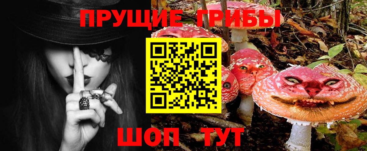 Псилоцибиновые грибы мухоморы Туапсе